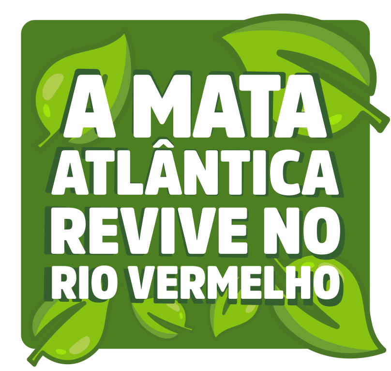 A Mata Atlântica Revive no Rio Vermelho